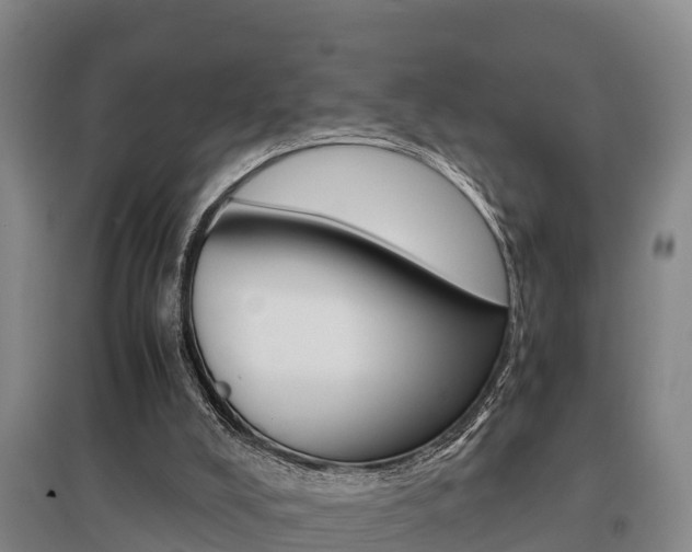 X0000095890008200801110839