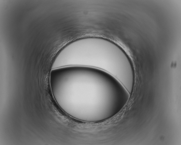 X0000095890009200801110839