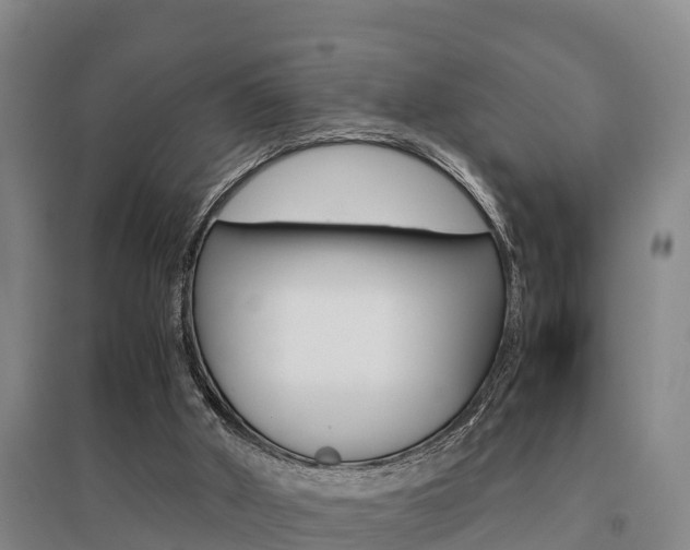 X0000095890010200801110839