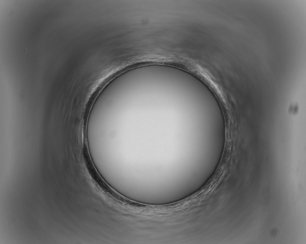 X0000095890011200801110839
