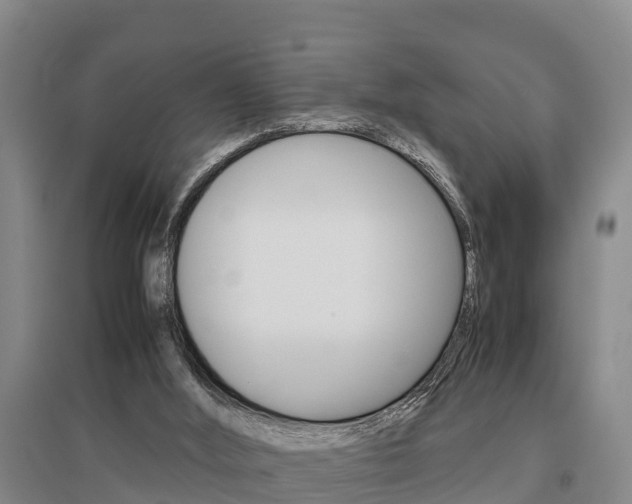 X0000095890012200801110839