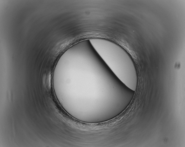 X0000095890014200801110839