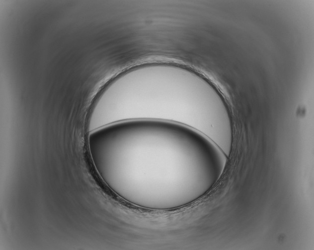X0000095890015200801110839