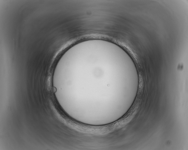 X0000095890016200801110839