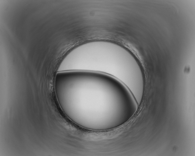 X0000095890017200801110839