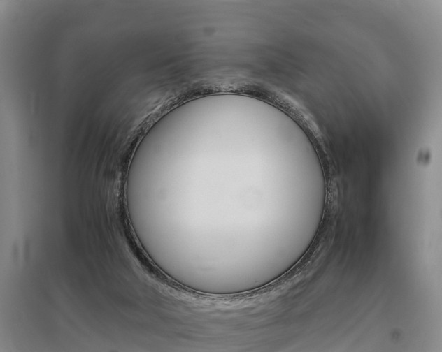 X0000095890018200801110839