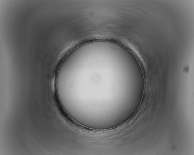 X0000095890019200801110839