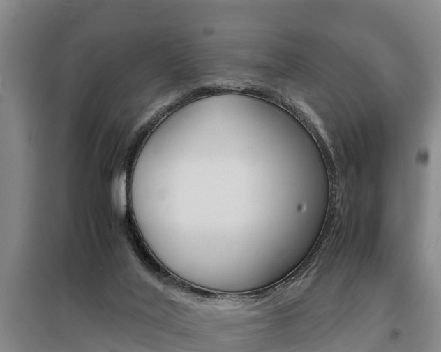 X0000095890020200801110839