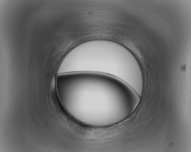X0000095890021200801110839