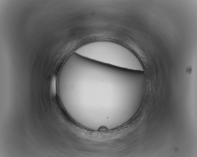 X0000095890022200801110839