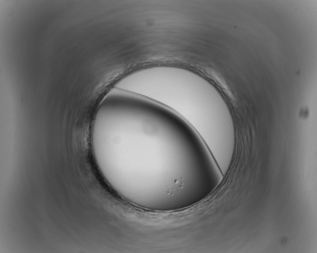 X0000095890023200801110839