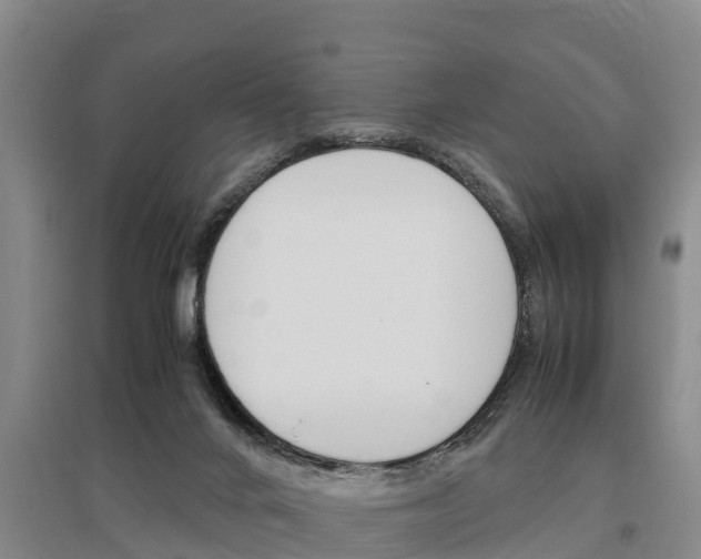 X0000095890024200801110839