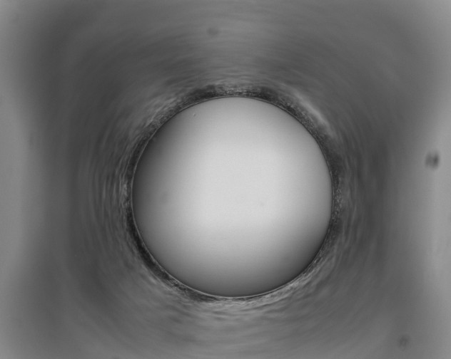 X0000095890025200801110839