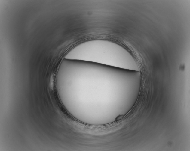 X0000095890026200801110839