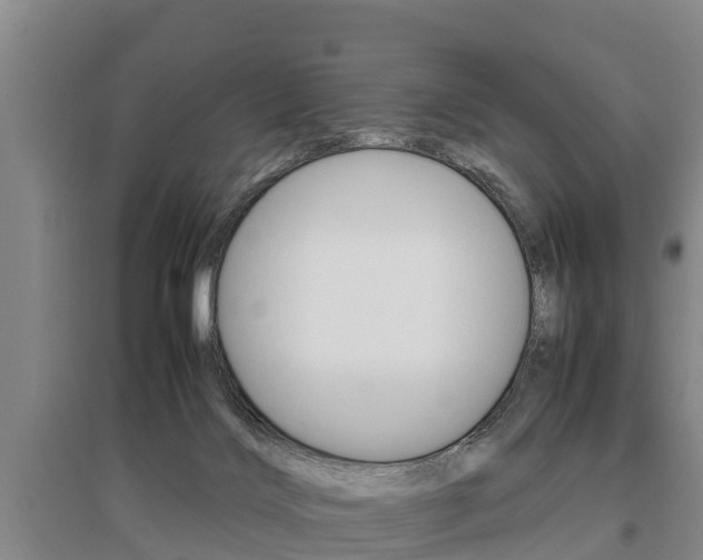 X0000095890028200801110839