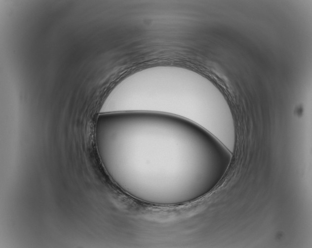 X0000095890029200801110839