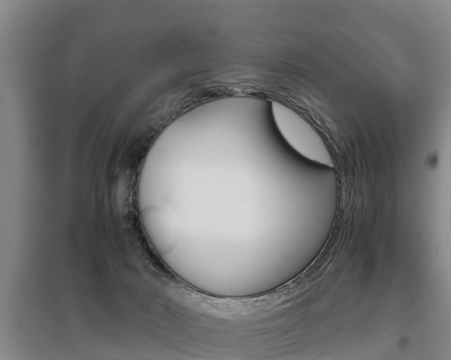 X0000095890030200801110839