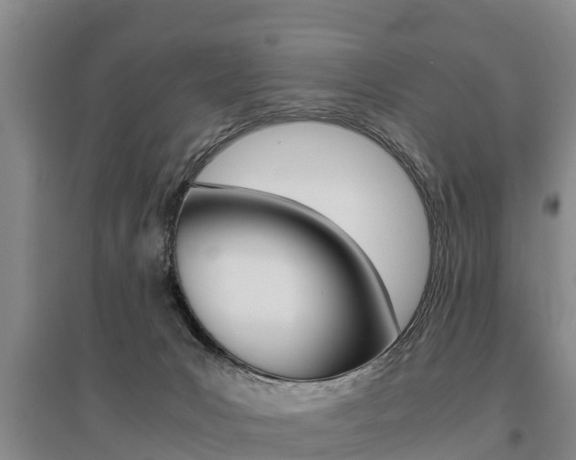 X0000095890031200801110839