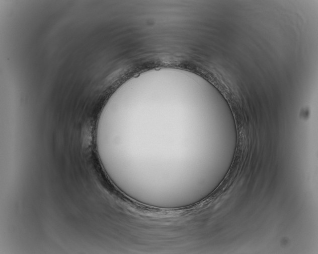 X0000095890032200801110839
