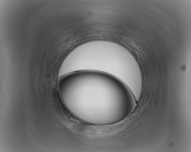 X0000095890033200801110839