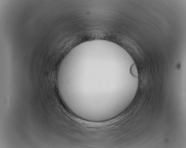 X0000095890034200801110839
