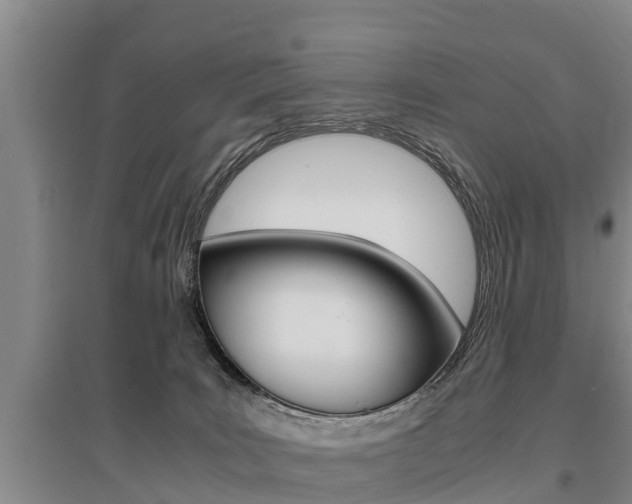 X0000095890035200801110839