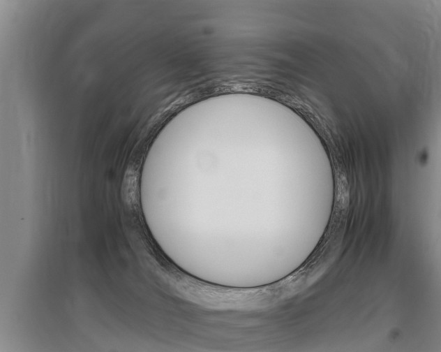 X0000095890036200801110839