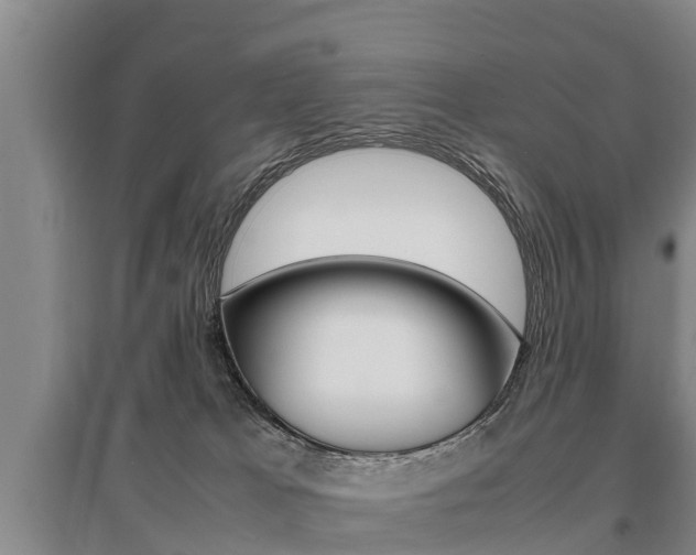 X0000095890037200801110839