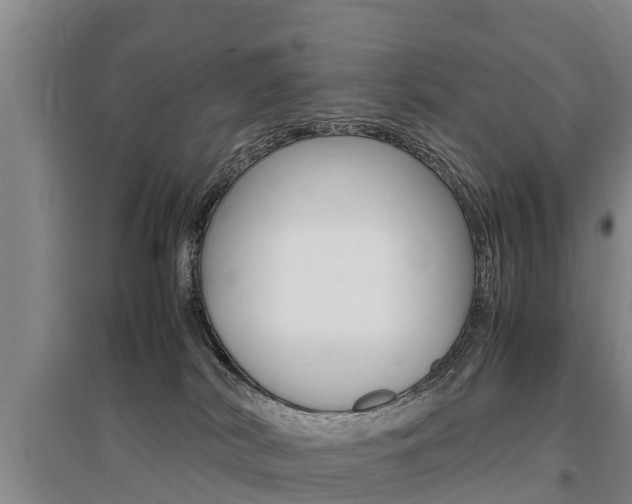 X0000095890038200801110839