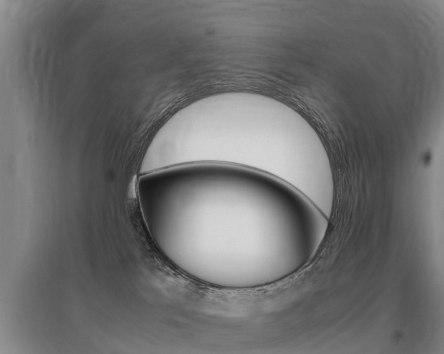 X0000095890041200801110839