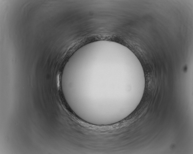 X0000095890042200801110839