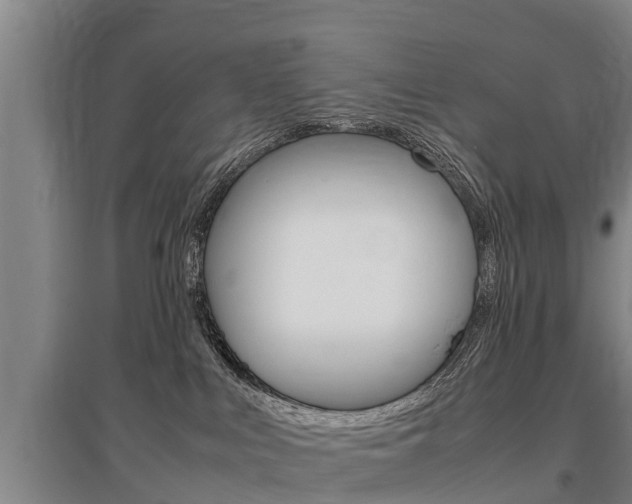 X0000095890043200801110839