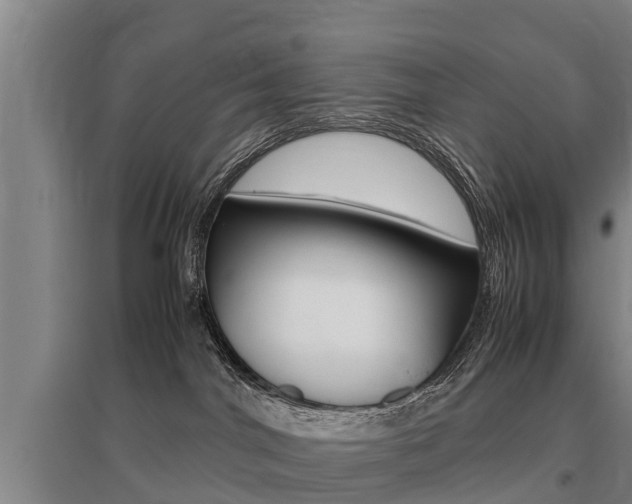 X0000095890044200801110839
