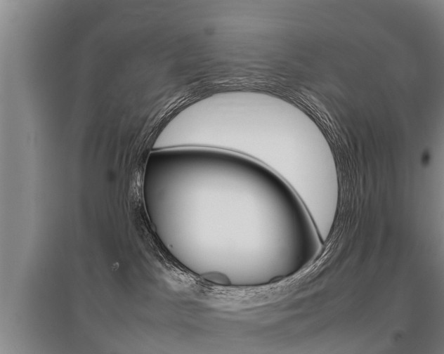 X0000095890045200801110839