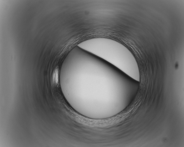 X0000095890046200801110839
