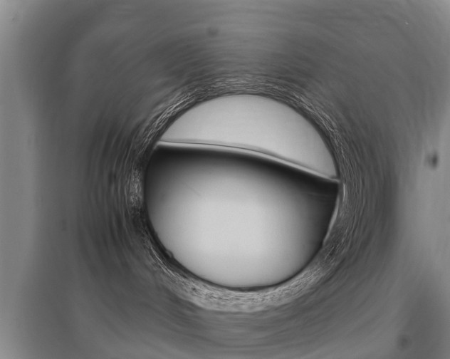 X0000095890048200801110839