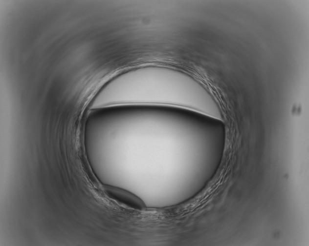 X0000095890050200801110838