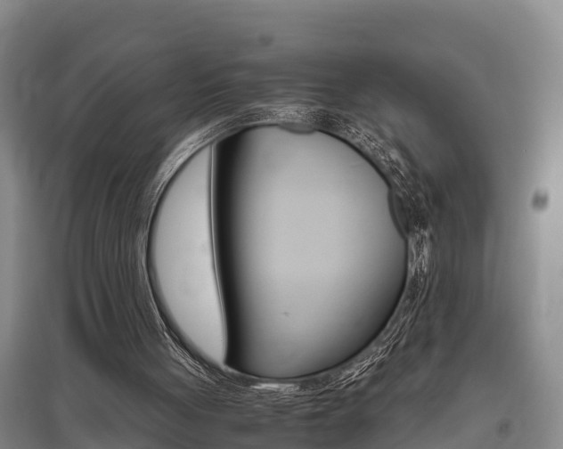 X0000095890051200801110838