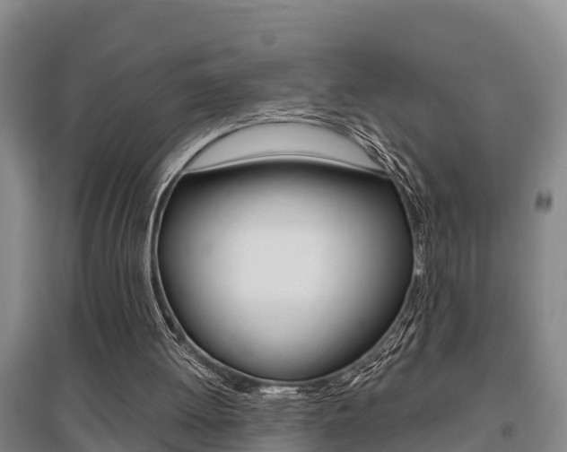 X0000095890052200801110838