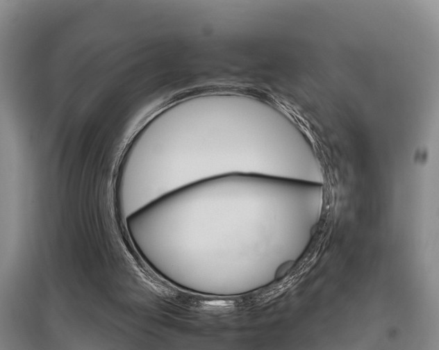 X0000095890053200801110838