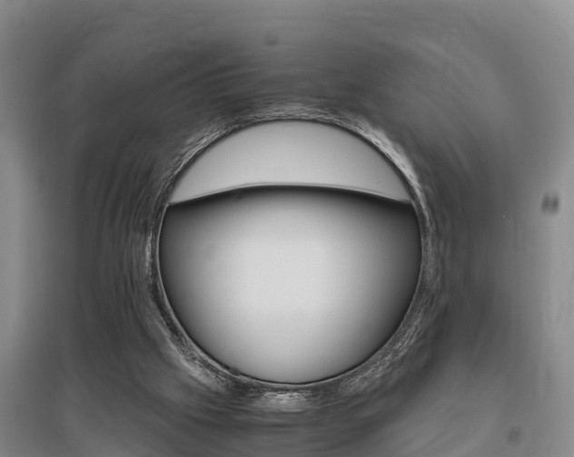 X0000095890057200801110838
