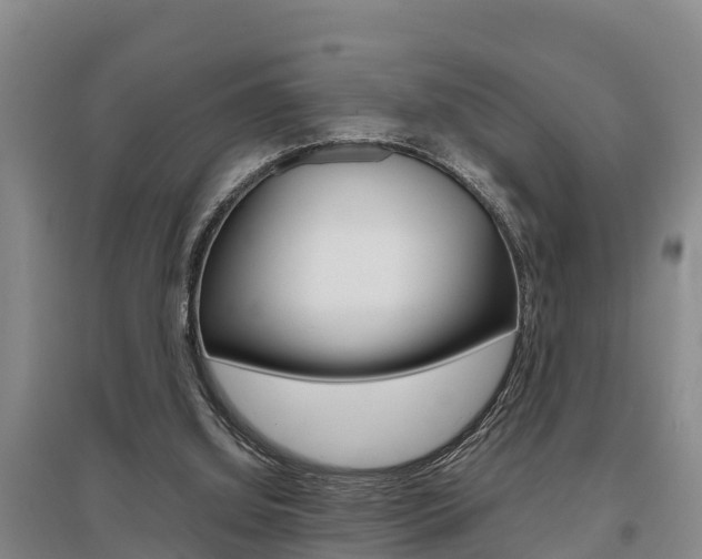 X0000095890060200801110838