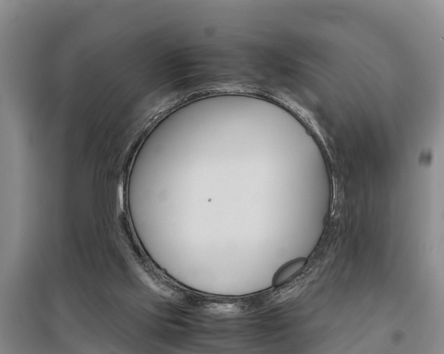 X0000095890061200801110838