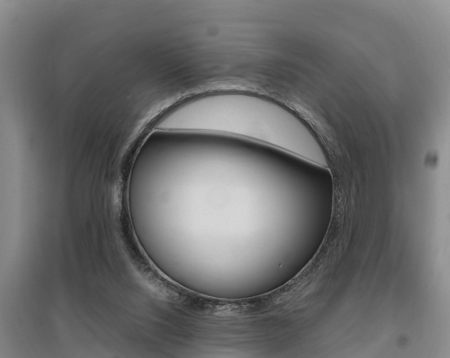 X0000095890064200801110838
