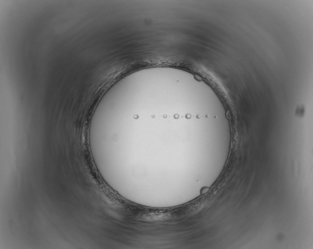 X0000095890065200801110838