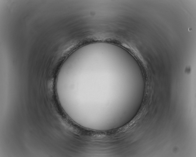X0000095890066200801110838
