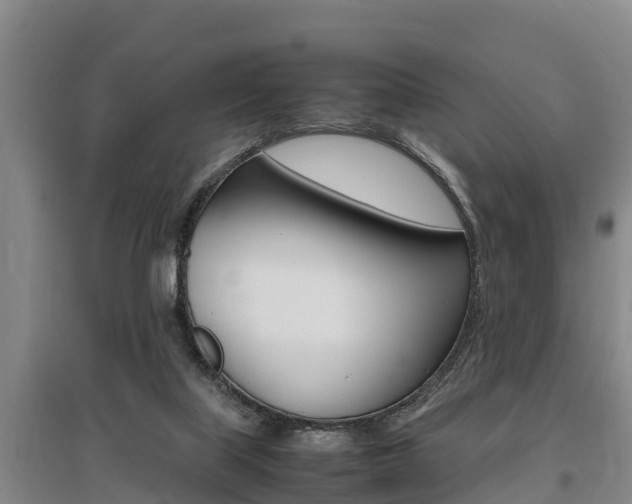 X0000095890067200801110838