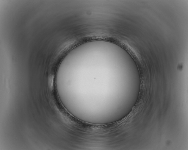 X0000095890070200801110838