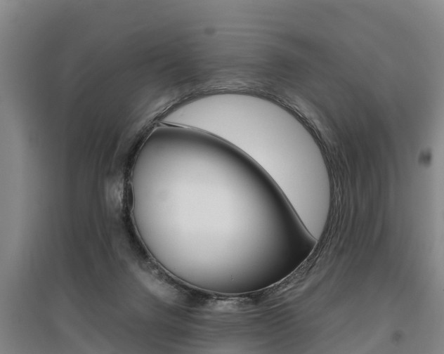 X0000095890072200801110838