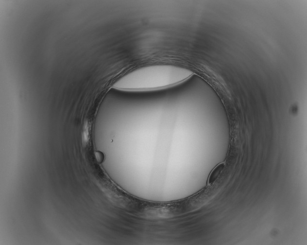 X0000095890075200801110838